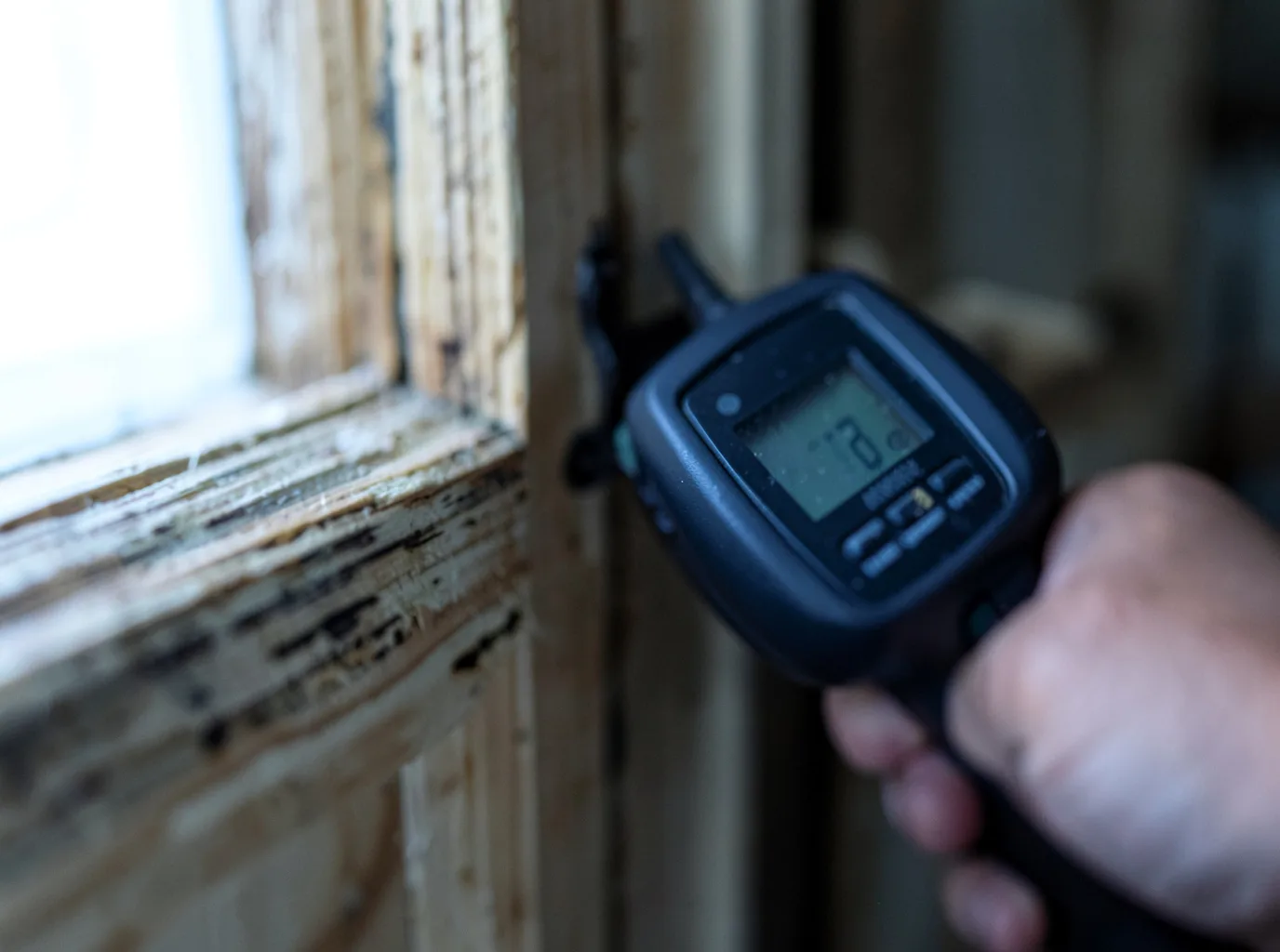 Moisture Inspection And Documentation in Hoskinston, KY